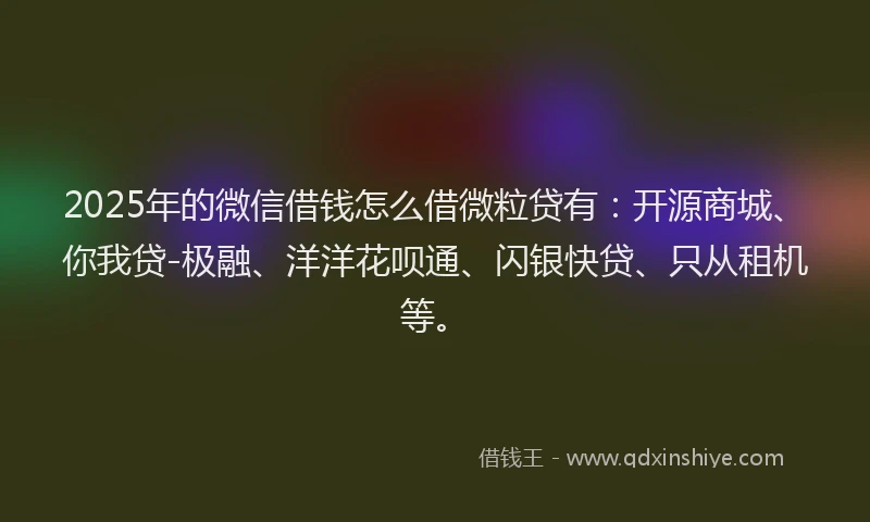 2025年的微信借钱怎么借微粒贷有：开源商城、你我贷-极融、洋洋花呗通、闪银快贷、只从租机等。