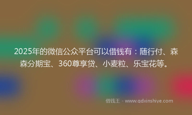 2025年的微信公众平台可以借钱有：随行付、森森分期宝、360尊享贷、小麦粒、乐宝花等。