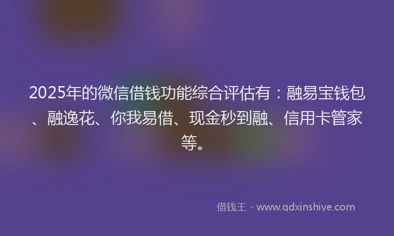 2025年的微信借钱功能综合评估有：融易宝钱包、融逸花、你我易借、现金秒到融、信用卡管家等。
