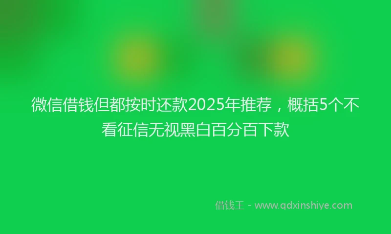 微信借钱但都按时还款2025年推荐，概括5个不看征信无视黑白百分百下款