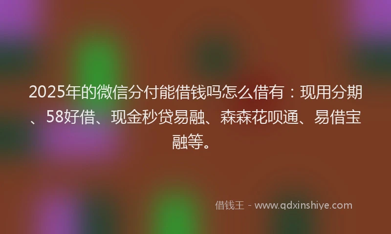 2025年的微信分付能借钱吗怎么借有：现用分期、58好借、现金秒贷易融、森森花呗通、易借宝融等。