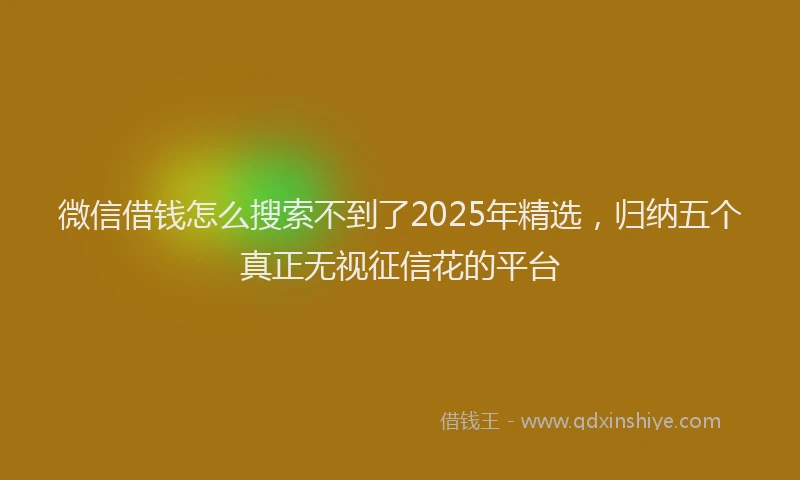 微信借钱怎么搜索不到了2025年精选，归纳五个真正无视征信花的平台