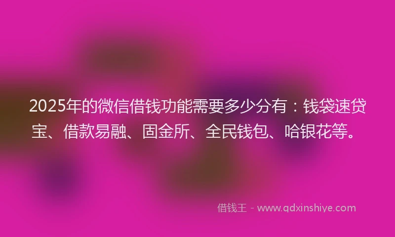 2025年的微信借钱功能需要多少分有：钱袋速贷宝、借款易融、固金所、全民钱包、哈银花等。