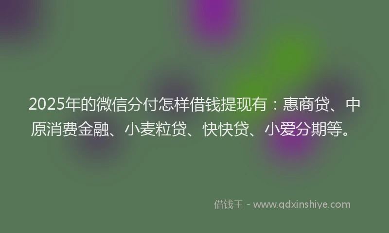 2025年的微信分付怎样借钱提现有：惠商贷、中原消费金融、小麦粒贷、快快贷、小爱分期等。