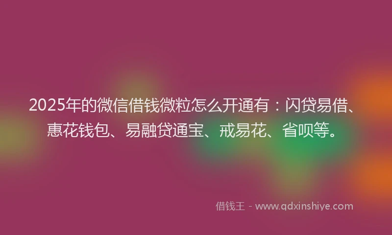 2025年的微信借钱微粒怎么开通有：闪贷易借、惠花钱包、易融贷通宝、戒易花、省呗等。