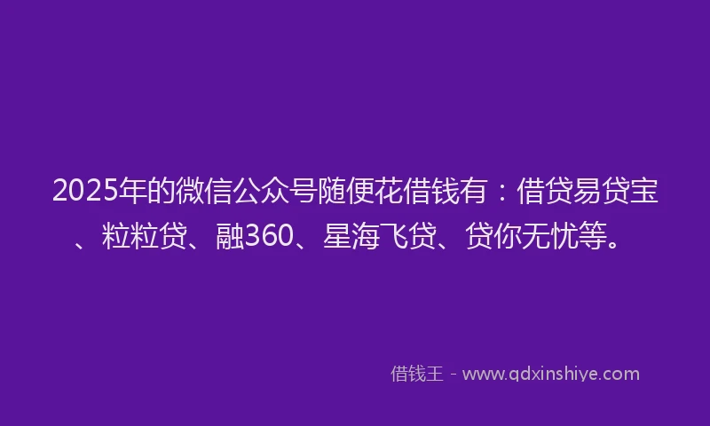 2025年的微信公众号随便花借钱有：借贷易贷宝、粒粒贷、融360、星海飞贷、贷你无忧等。