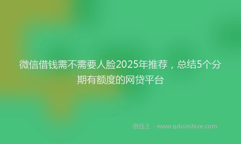 微信借钱需不需要人脸2025年推荐，总结5个分期有额度的网贷平台