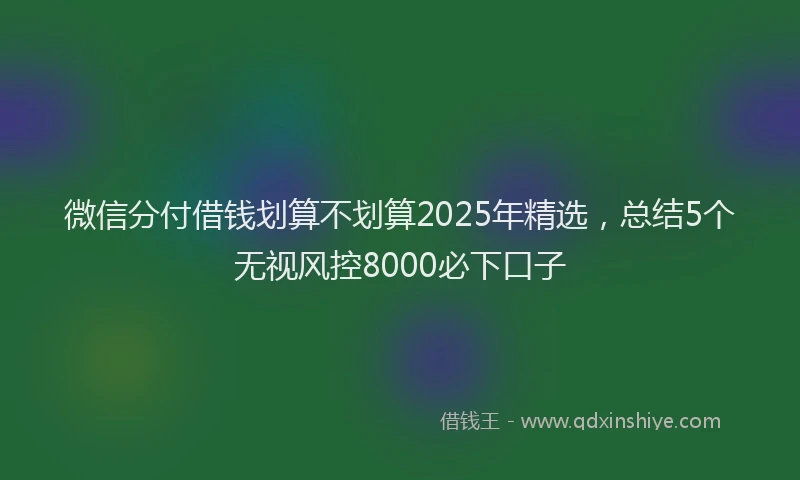 微信分付借钱划算不划算2025年精选，总结5个无视风控8000必下口子