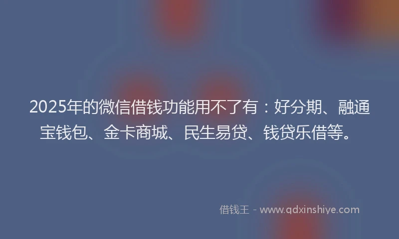 2025年的微信借钱功能用不了有：好分期、融通宝钱包、金卡商城、民生易贷、钱贷乐借等。