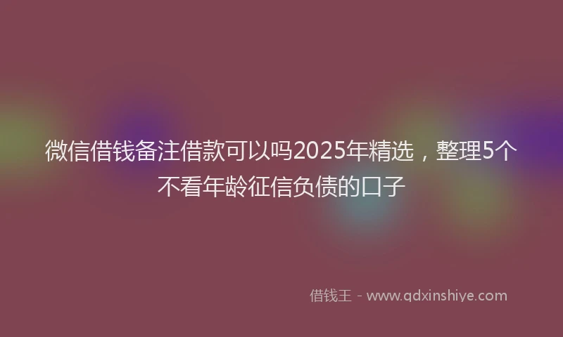 微信借钱备注借款可以吗2025年精选，整理5个不看年龄征信负债的口子