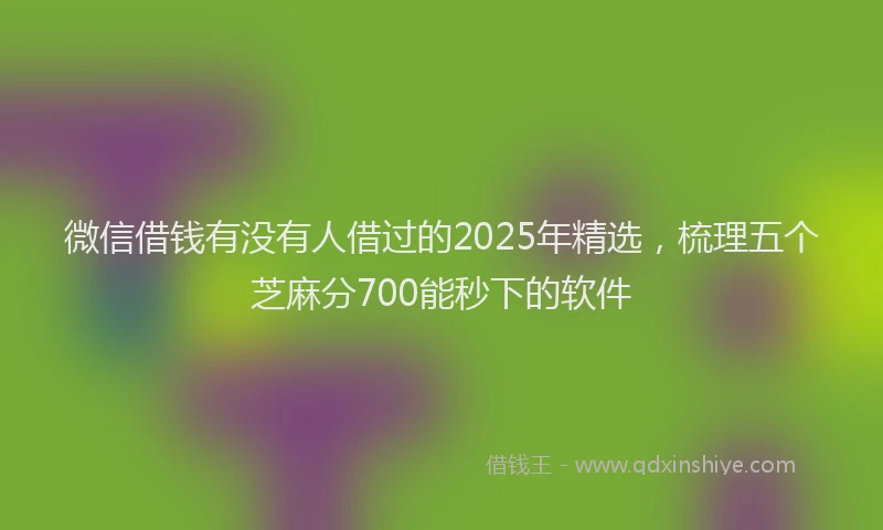 微信借钱有没有人借过的2025年精选，梳理五个芝麻分700能秒下的软件