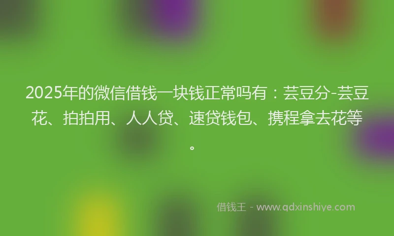 2025年的微信借钱一块钱正常吗有：芸豆分-芸豆花、拍拍用、人人贷、速贷钱包、携程拿去花等。