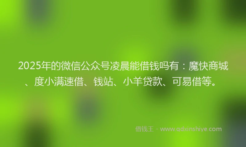 2025年的微信公众号凌晨能借钱吗有：魔快商城、度小满速借、钱站、小羊贷款、可易借等。