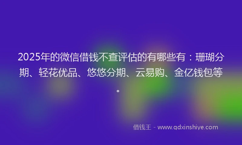 2025年的微信借钱不查评估的有哪些有：珊瑚分期、轻花优品、悠悠分期、云易购、金亿钱包等。