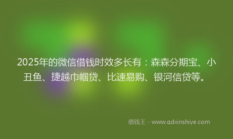 2025年的微信借钱时效多长有：森森分期宝、小丑鱼、捷越巾帼贷、比速易购、银河信贷等。