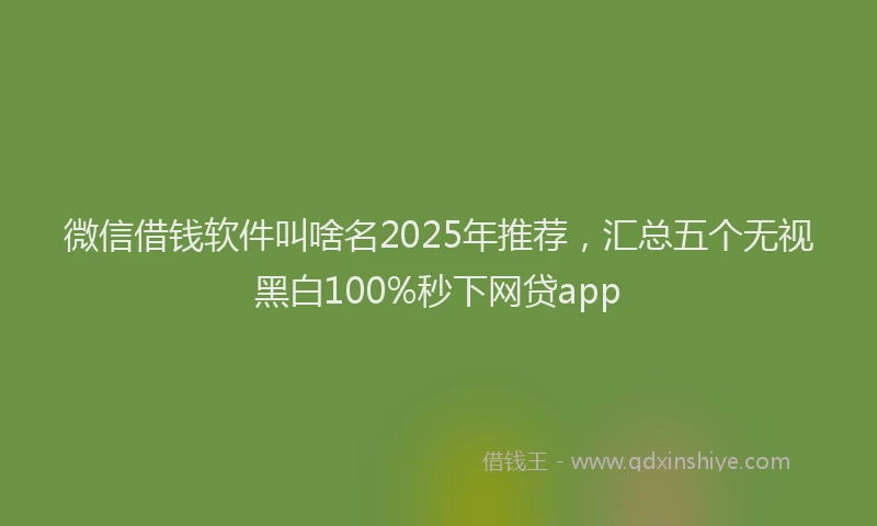 微信借钱软件叫啥名2025年推荐，汇总五个无视黑白100%秒下网贷app