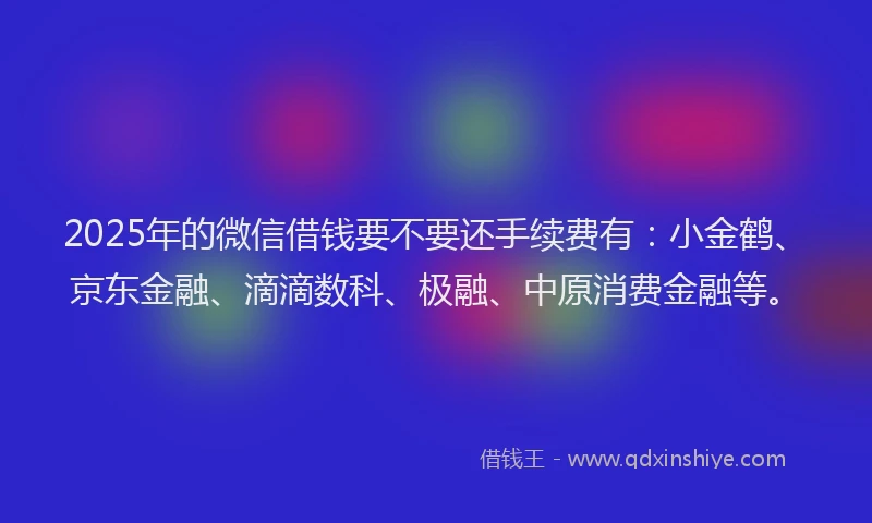 2025年的微信借钱要不要还手续费有：小金鹤、京东金融、滴滴数科、极融、中原消费金融等。