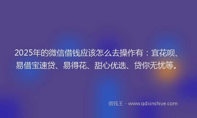 2025年的微信借钱应该怎么去操作有：宜花呗、易借宝速贷、易得花、甜心优选、贷你无忧等。
