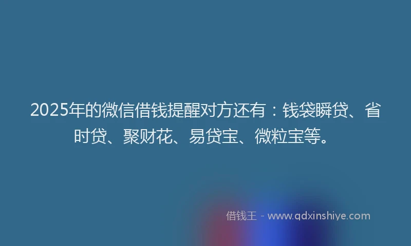 2025年的微信借钱提醒对方还有：钱袋瞬贷、省时贷、聚财花、易贷宝、微粒宝等。