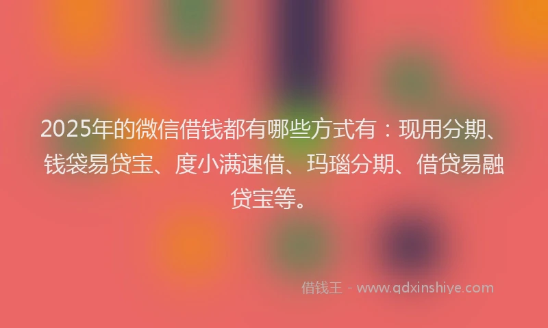 2025年的微信借钱都有哪些方式有：现用分期、钱袋易贷宝、度小满速借、玛瑙分期、借贷易融贷宝等。