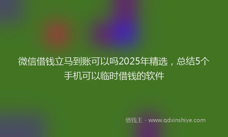 微信借钱立马到账可以吗2025年精选，总结5个手机可以临时借钱的软件