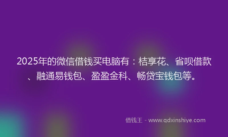 2025年的微信借钱买电脑有：桔享花、省呗借款、融通易钱包、盈盈金科、畅贷宝钱包等。