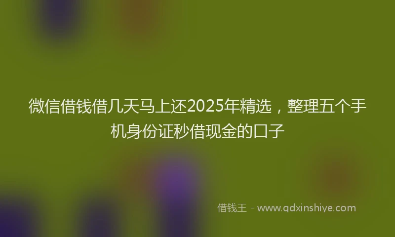 微信借钱借几天马上还2025年精选，整理五个手机身份证秒借现金的口子