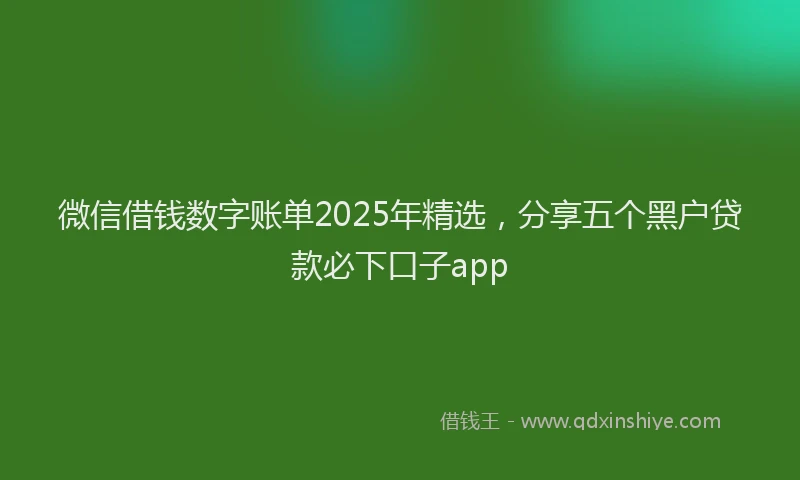 微信借钱数字账单2025年精选，分享五个黑户贷款必下口子app