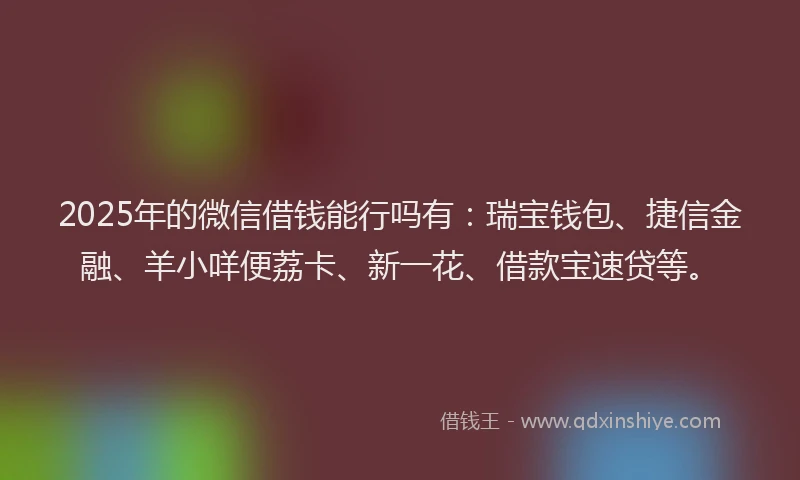 2025年的微信借钱能行吗有：瑞宝钱包、捷信金融、羊小咩便荔卡、新一花、借款宝速贷等。