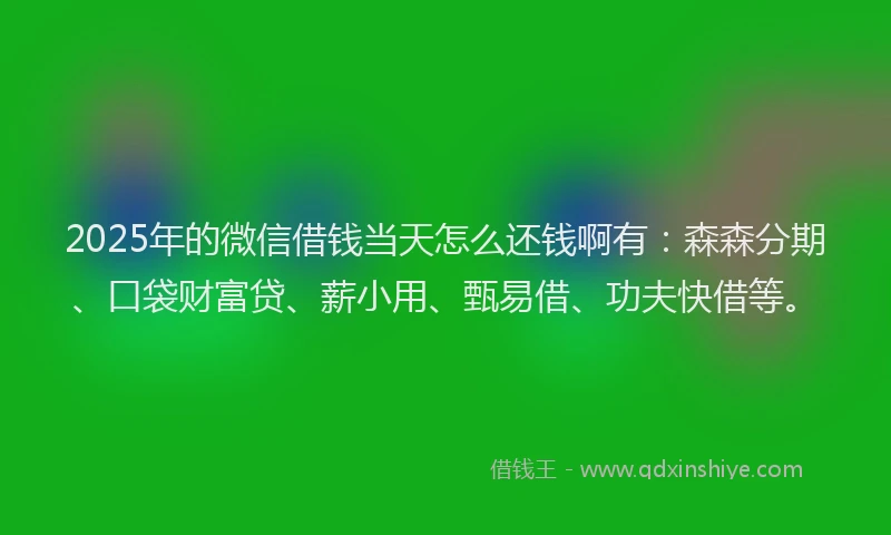 2025年的微信借钱当天怎么还钱啊有：森森分期、口袋财富贷、薪小用、甄易借、功夫快借等。