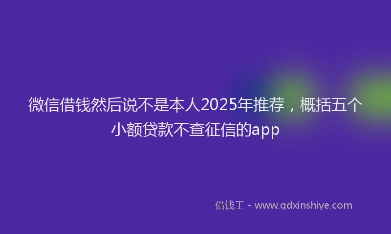 微信借钱然后说不是本人2025年推荐，概括五个小额贷款不查征信的app