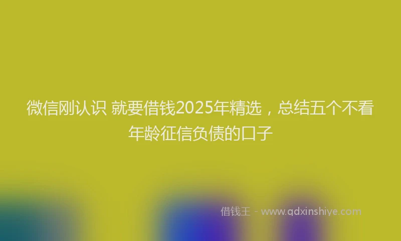 微信刚认识 就要借钱2025年精选，总结五个不看年龄征信负债的口子