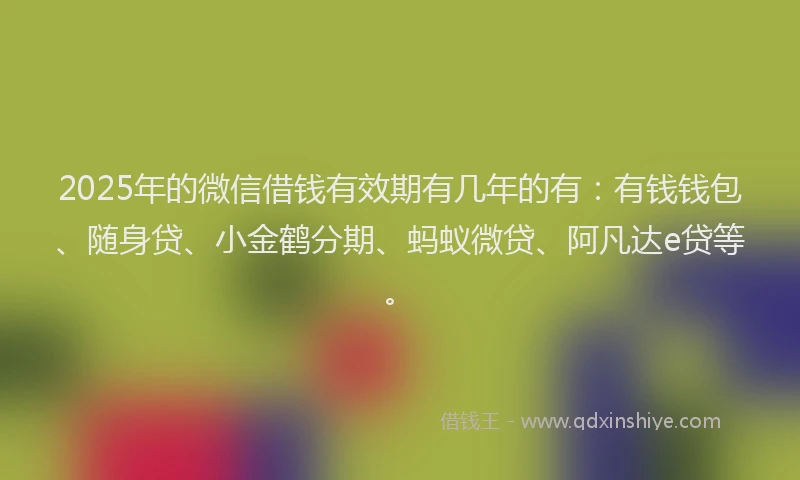 2025年的微信借钱有效期有几年的有：有钱钱包、随身贷、小金鹤分期、蚂蚁微贷、阿凡达e贷等。