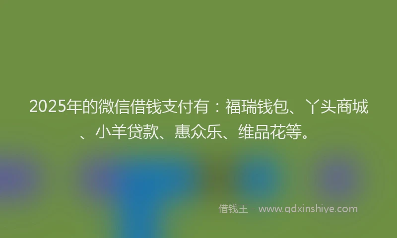 2025年的微信借钱支付有：福瑞钱包、丫头商城、小羊贷款、惠众乐、维品花等。