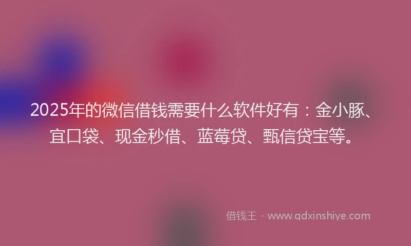 2025年的微信借钱需要什么软件好有：金小豚、宜口袋、现金秒借、蓝莓贷、甄信贷宝等。