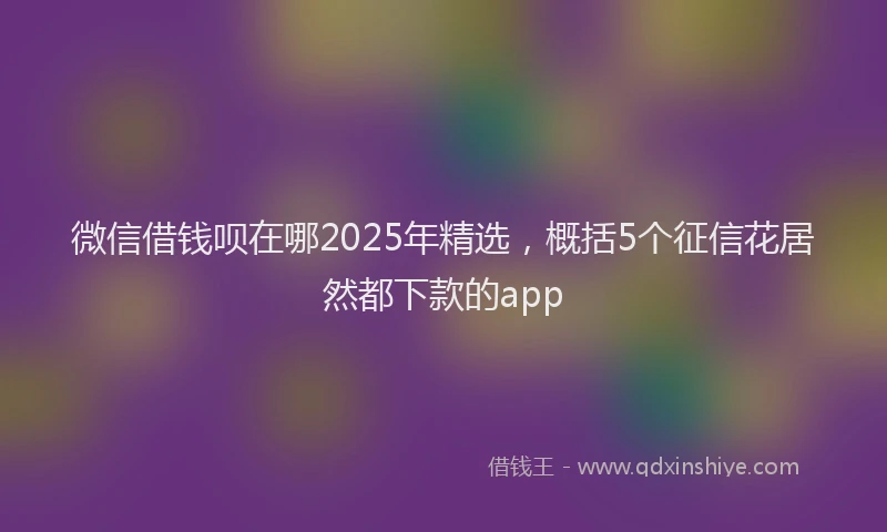 微信借钱呗在哪2025年精选，概括5个征信花居然都下款的app