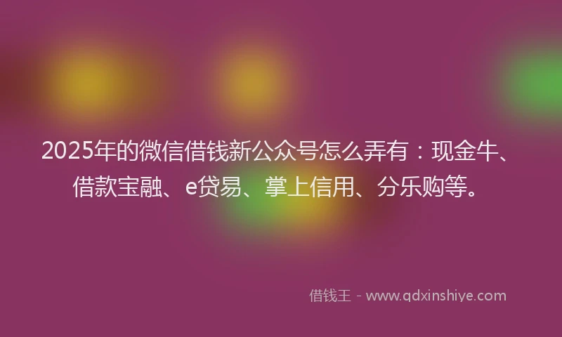 2025年的微信借钱新公众号怎么弄有：现金牛、借款宝融、e贷易、掌上信用、分乐购等。