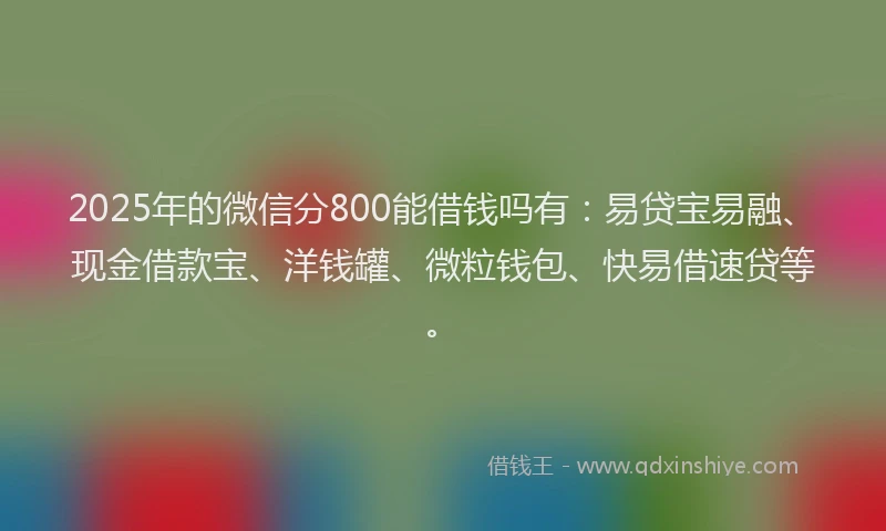 2025年的微信分800能借钱吗有：易贷宝易融、现金借款宝、洋钱罐、微粒钱包、快易借速贷等。