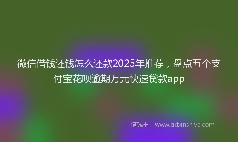 微信借钱还钱怎么还款2025年推荐，盘点五个支付宝花呗逾期万元快速贷款app
