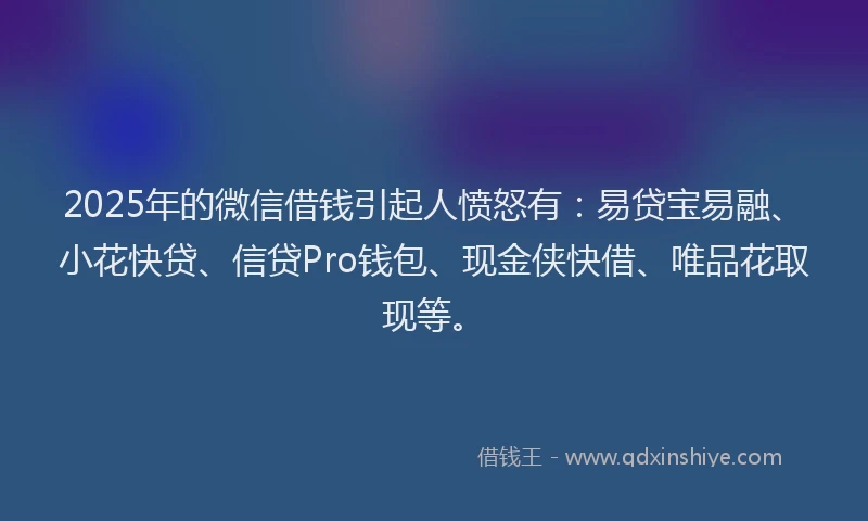 2025年的微信借钱引起人愤怒有：易贷宝易融、小花快贷、信贷Pro钱包、现金侠快借、唯品花取现等。