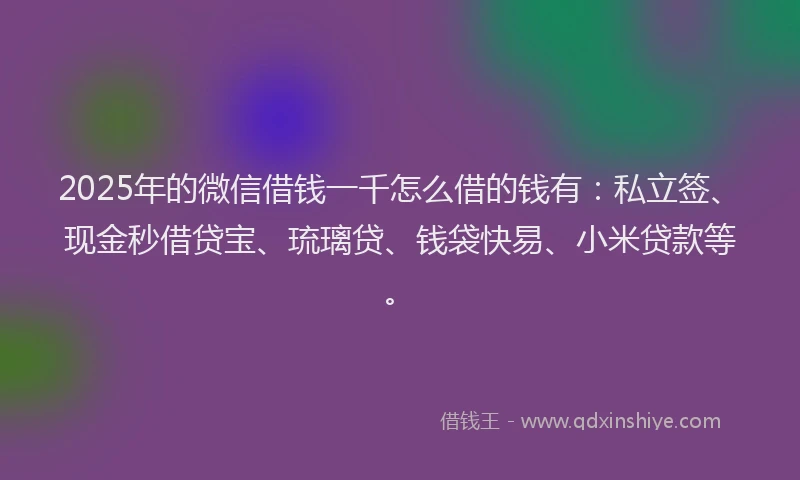 2025年的微信借钱一千怎么借的钱有：私立签、现金秒借贷宝、琉璃贷、钱袋快易、小米贷款等。
