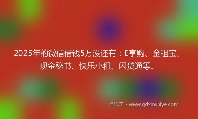 2025年的微信借钱5万没还有：E享购、金租宝、现金秘书、快乐小租、闪贷通等。