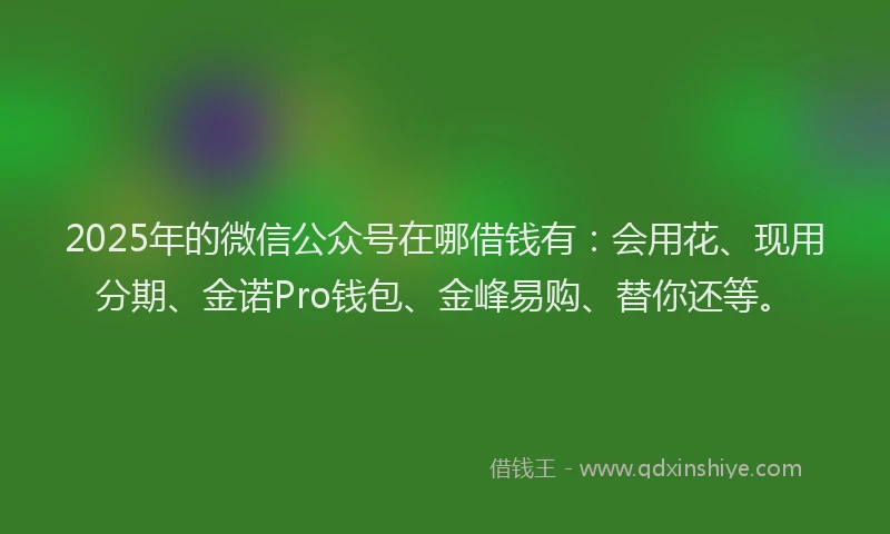 2025年的微信公众号在哪借钱有：会用花、现用分期、金诺Pro钱包、金峰易购、替你还等。