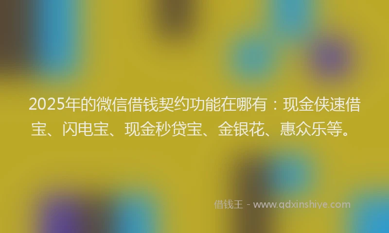 2025年的微信借钱契约功能在哪有：现金侠速借宝、闪电宝、现金秒贷宝、金银花、惠众乐等。