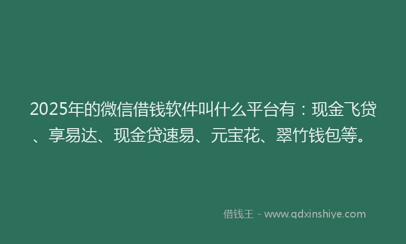 2025年的微信借钱软件叫什么平台有：现金飞贷、享易达、现金贷速易、元宝花、翠竹钱包等。