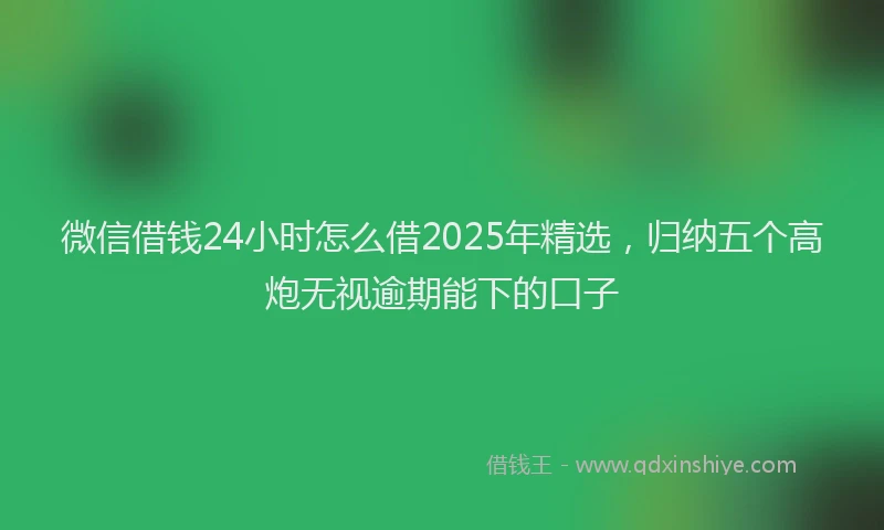 微信借钱24小时怎么借2025年精选，归纳五个高炮无视逾期能下的口子