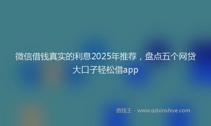 微信借钱真实的利息2025年推荐，盘点五个网贷大口子轻松借app