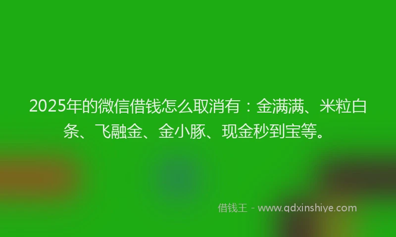 2025年的微信借钱怎么取消有：金满满、米粒白条、飞融金、金小豚、现金秒到宝等。