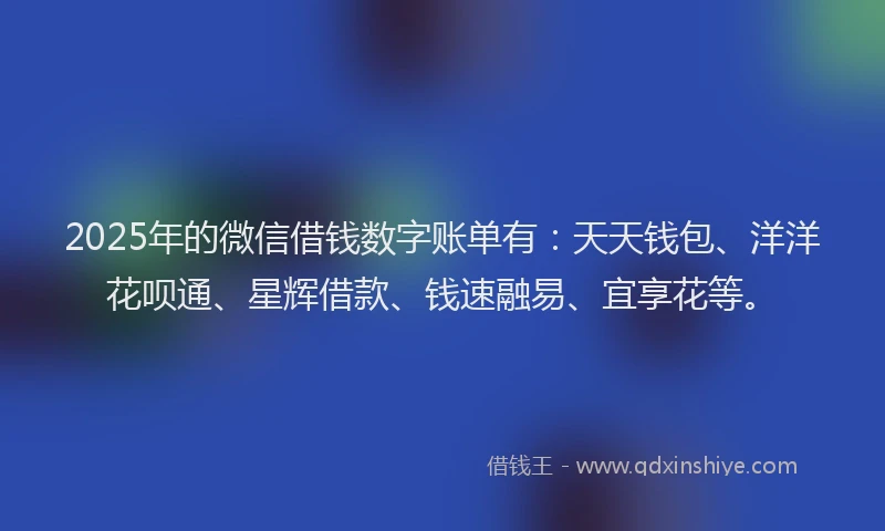 2025年的微信借钱数字账单有：天天钱包、洋洋花呗通、星辉借款、钱速融易、宜享花等。