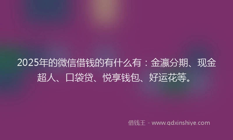 2025年的微信借钱的有什么有：金瀛分期、现金超人、口袋贷、悦享钱包、好运花等。